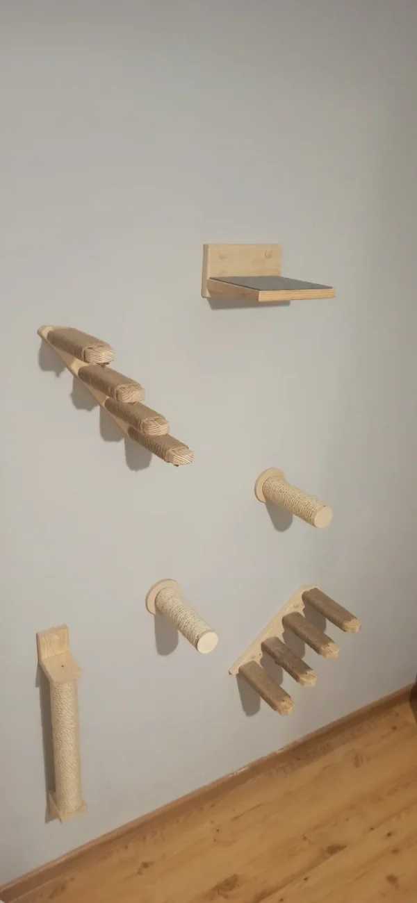 kociostrada mini kociarski