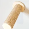 kociostrada mini kociarski