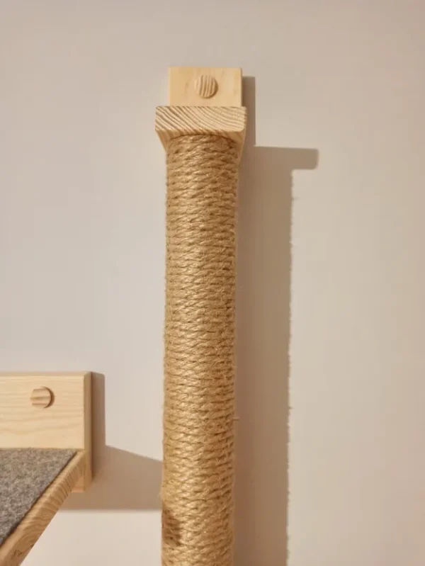 kociostrada semi kociarski